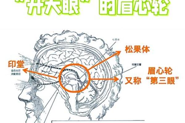 九六五年出生的人命运解析：智慧与机遇的交汇点