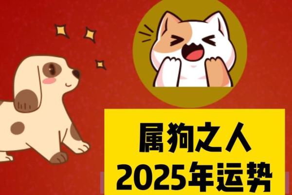 戊戌年出生的人：解析属狗之命的性格与运势