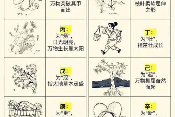 天生贱命的生肖解析：你是哪一种命运？