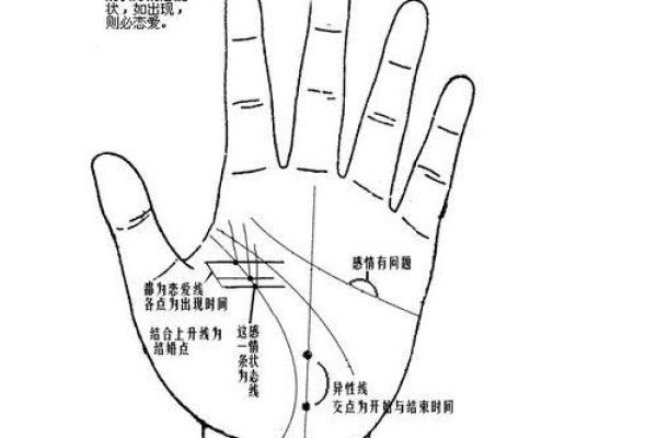揭秘女人手相：男命的幸福密码与命运奥秘