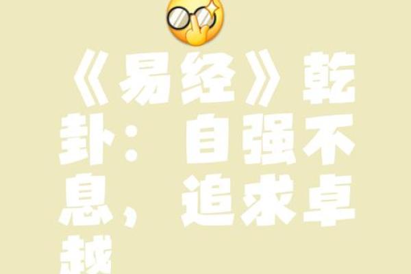 乾命男：命理中的王者，揭秘其独特魅力与命运之道