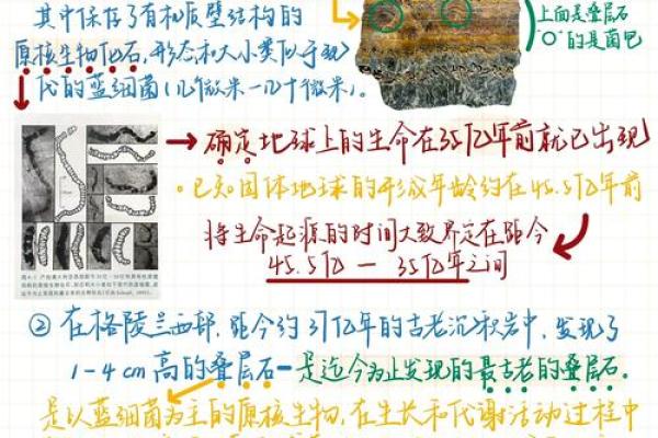 探索命里通关的奥秘：人生的选择与机遇