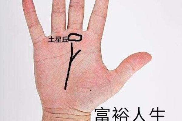 指头短的人的命运：揭秘你的手相与人生潜力