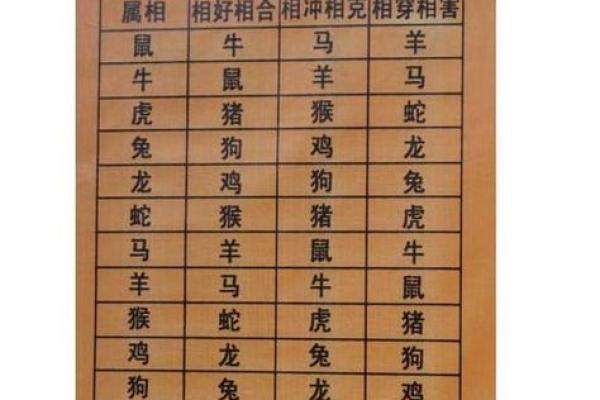探秘生肖：50年出生的人属什么生肖？命运与性格全解析！