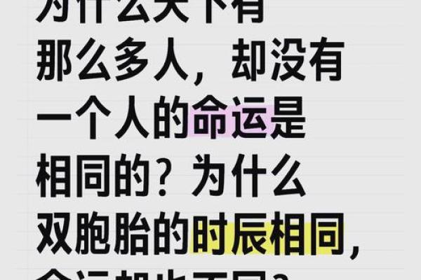 1924年出生的人命运解析：命理与生活的奇妙交织