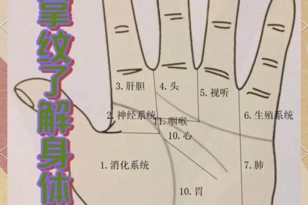 手掌指纹凸起揭示你的命运之路：指纹与个性、健康的奥秘探析