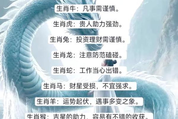 1972年出生的人生运势与命理解析：揭秘命运的奥秘与调整方法