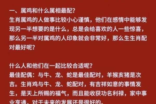 揭开男属鸡的命运之谜：为何他们常常命不长？