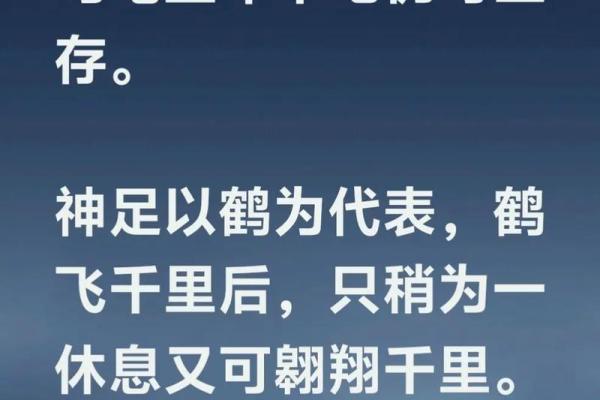 相貌与命运：外在与内在的奇妙联系