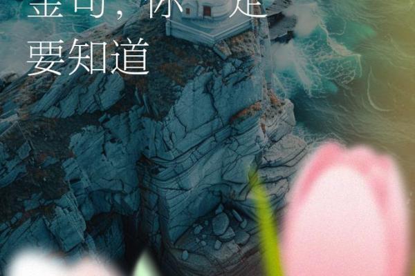 红颜搏命：为了爱而战，书写无悔青春的篇章