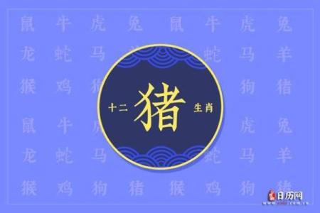 属猪之人48岁命理解析：智慧与幸福的交汇点