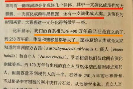 12月28日出生者的命运与性格解析：独特人生的奇妙旅程
