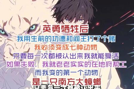大舅改命：从磨难中崛起的传奇人生