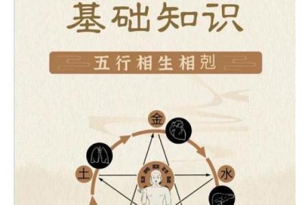探寻八卦震命：五行之中蕴含的智慧与神秘！