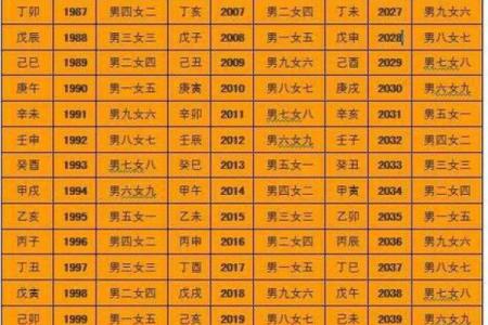 命格中的子嗣代表：解析命理与后代的深刻联系