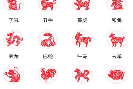 1900年出生女性的生肖命理解析与运势探讨