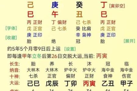 癸日元解析：揭秘癸命的五行属性与人生轨迹