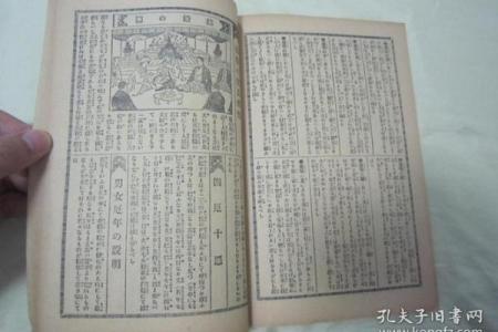 探索乙卯年出生者的命理特点与人生轨迹