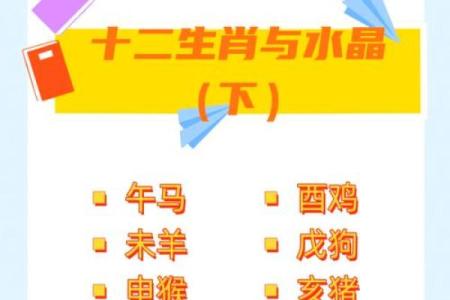 1995年猪命与十二生肖的缘分，探索最佳配对与和谐之道