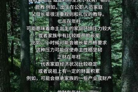 甲午命主的最佳葬向：风水与生命的延续智慧