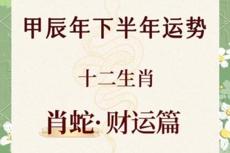 2002属龙的命运解析：探索财富与情感之路