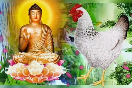 属鸡属是什么命？揭开2015年生肖鸡的命运之谜！