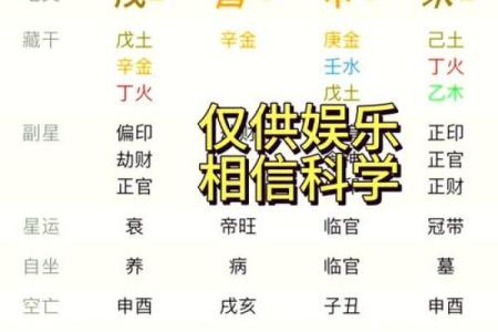24岁男人的命理解析：命运与人生轨迹的深度剖析