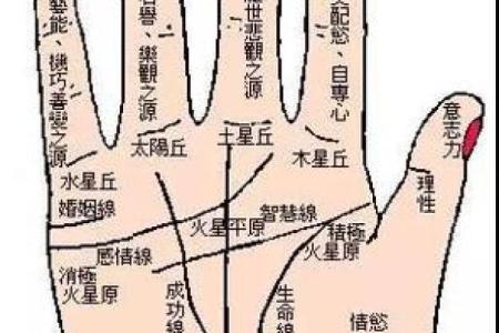 指头短的人的命运：揭秘你的手相与人生潜力