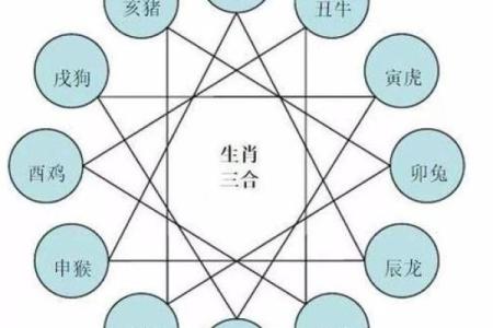 探秘生肖：50年出生的人属什么生肖？命运与性格全解析！