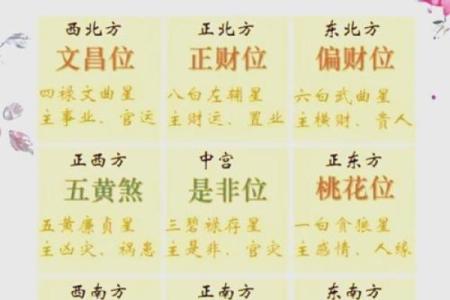 1999年出生的人命运解析：探索他们的性格与人生轨迹
