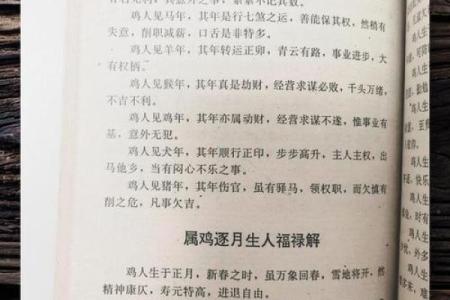鸡年生人的命运与性格特征探讨