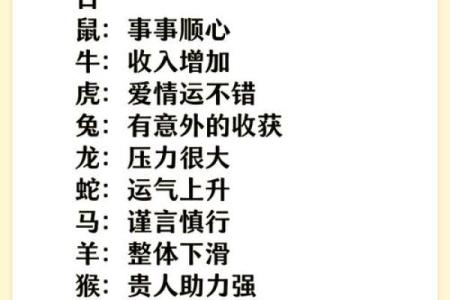 2019年宝贝命与运势：好命从何而来，如何把握未来