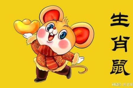 2020年属鼠，人命运与性格的深度解析