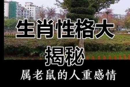 1926年属相解析：揭秘狗年出生人的命运与性格