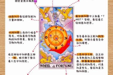 1973年9月出生的人：独特命运与人生轨迹的探讨