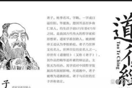 45岁马属人的命运分析与人生智慧探讨