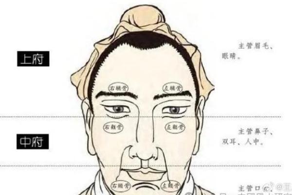 眉形与命运：通过眉毛解读人生轨迹与性格特征