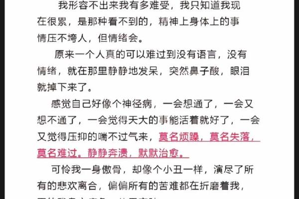 揭开《十三条命》的神秘面纱：一场关于生存与人性的心理剧