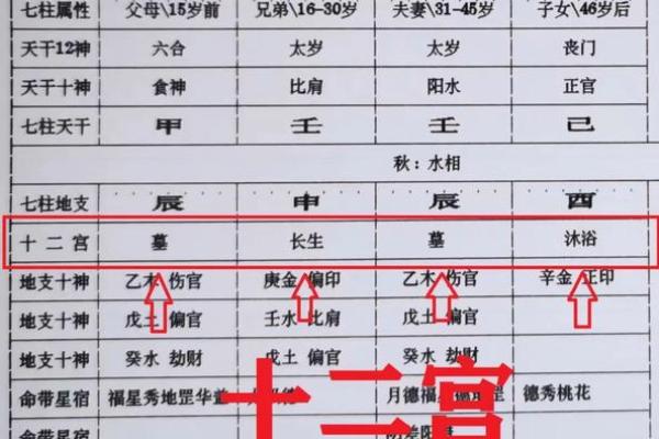 解密2012年出生男孩的命理与性格特征