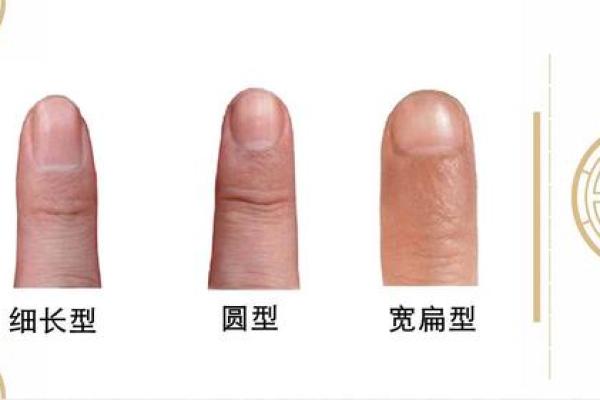 指甲短扁的女人，命运暗示与性格解读！