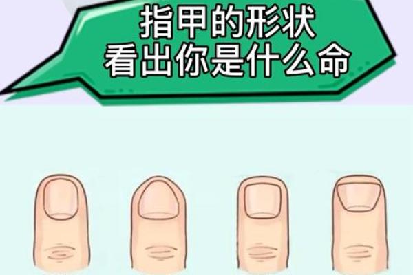 指甲短扁的女人，命运暗示与性格解读！