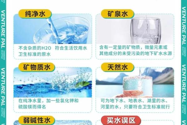 身弱水命者适合的行业选择与发展建议