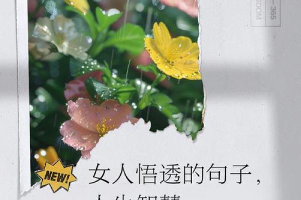 解密“七分命八分争命”：人生的智慧与奋斗的真谛
