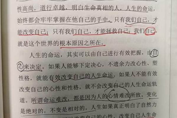 解密童子命：人生的另一种可能性与自我修行之路
