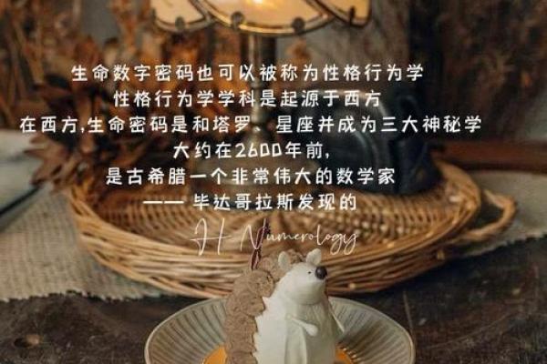 92年腊月12日的命运解析：揭示你的生命密码与未来走向