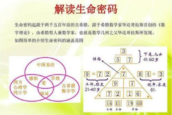 92年腊月12日的命运解析：揭示你的生命密码与未来走向