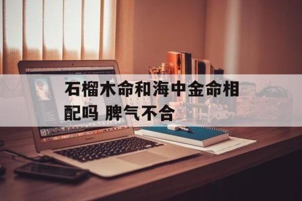 揭开石榴木命的神秘面纱：你不知道的好处与魅力