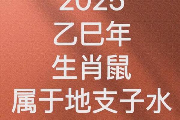 属鼠人为何被视为土命而非水命？深入探讨其背后的文化寓意与命理分析！
