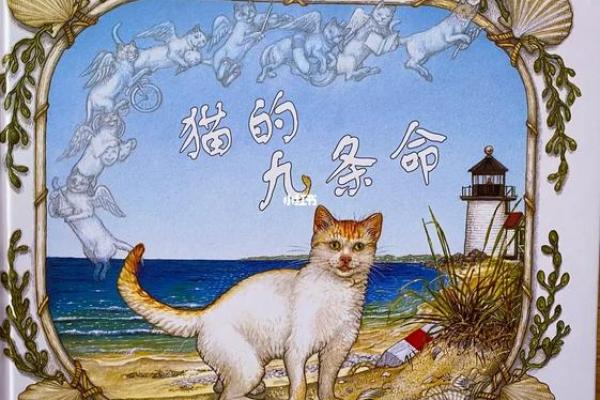 探秘猫的九条命：每一命的深刻寓意与启示