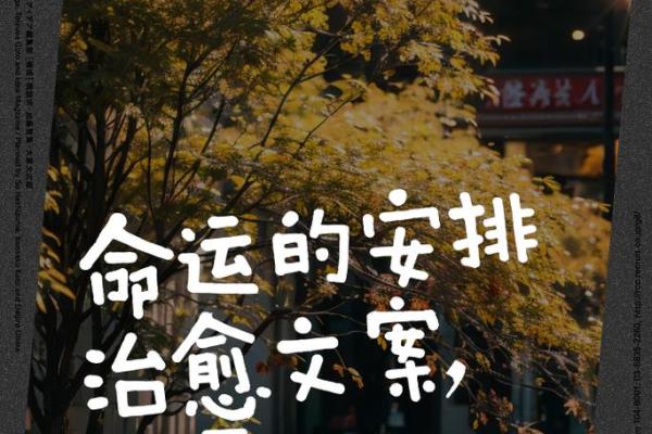 四九年以前的命运：探寻历史的深邃与人心的交织